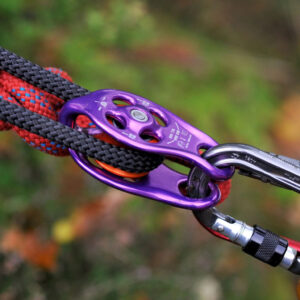 Ròng rọc DMM Pinto Rig Pulleys